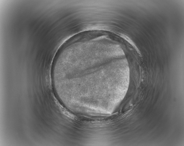 X0000064770980200603031821