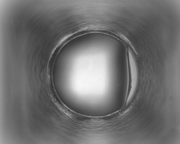 X0000064770981200603031821