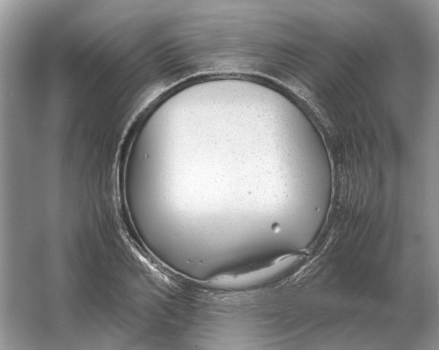 X0000064770982200603031821