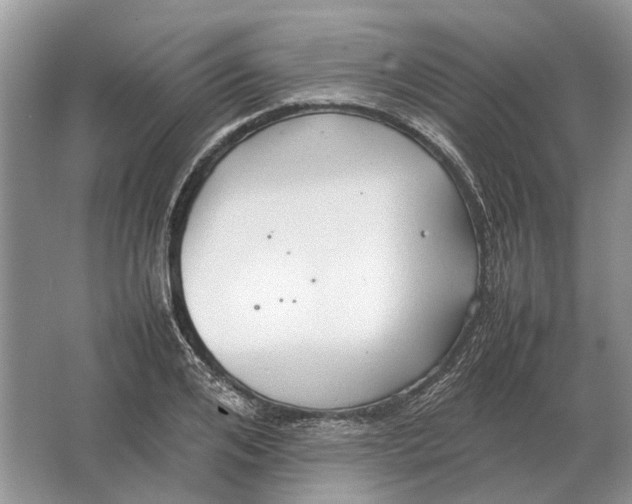 X0000064770984200603031821