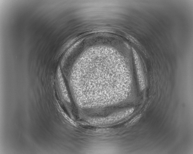 X0000064770985200603031821