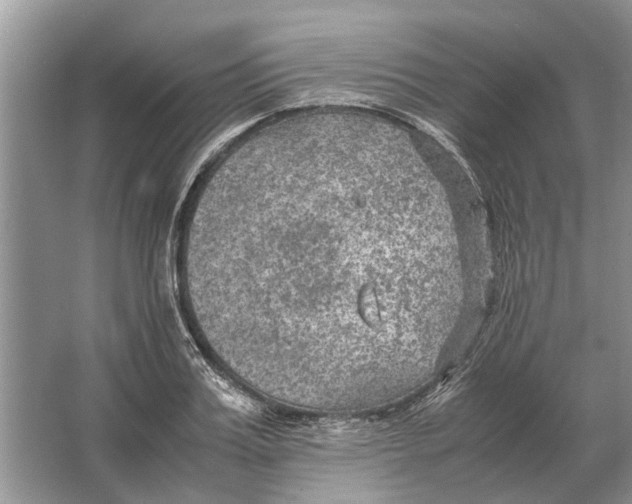 X0000064770987200603031821