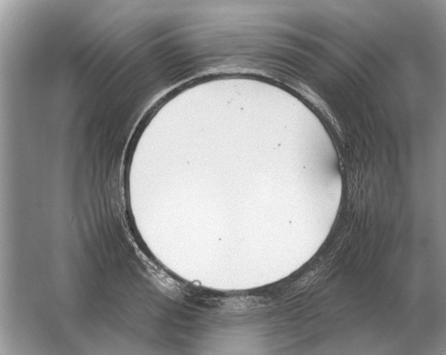 X0000064770988200603031821