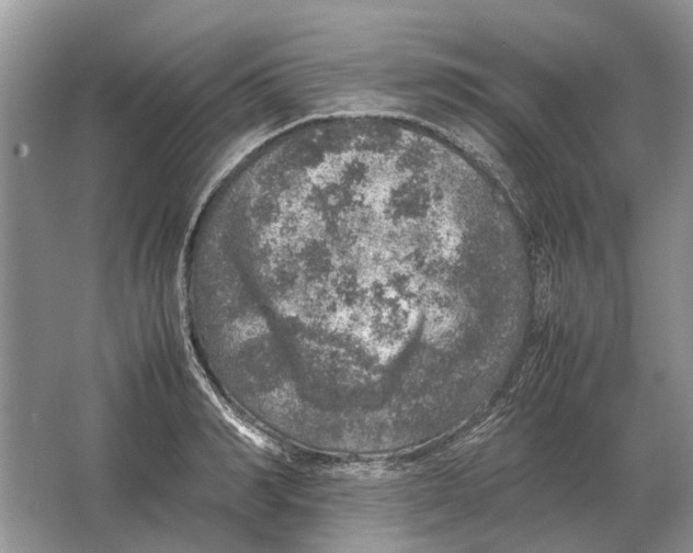 X0000064770990200603031821