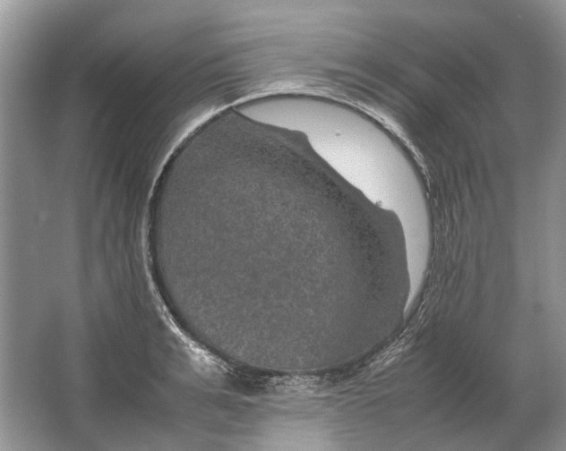 X0000064770991200603031821