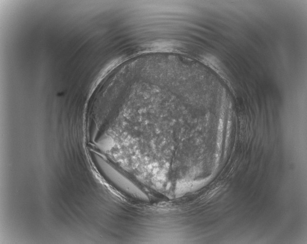 X0000064770994200603031821