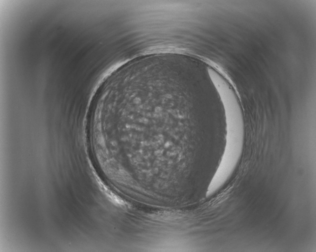 X0000064770995200603031820