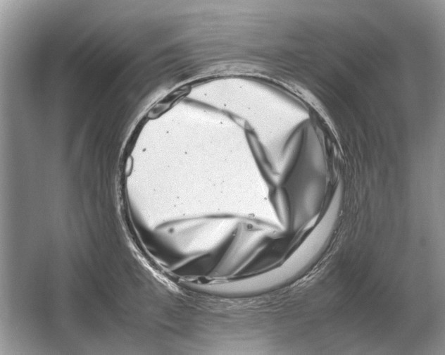 X0000064770997200603031820