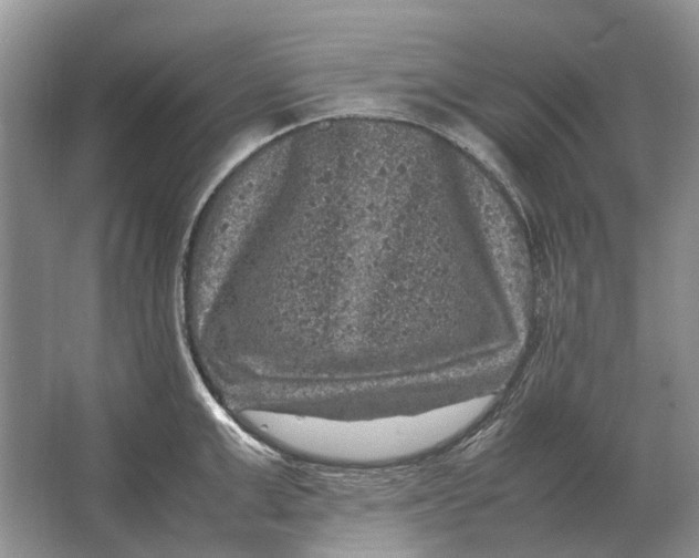 X0000064770999200603031820