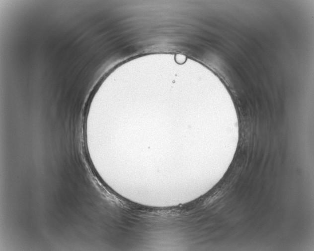 X0000064771000200603031820