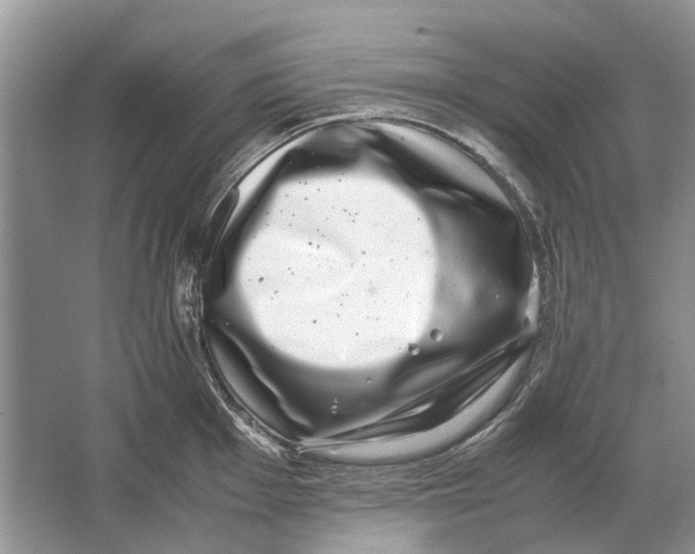 X0000064771001200603031820