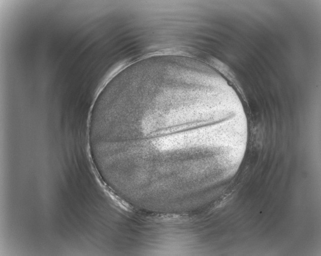 X0000064771002200603031820