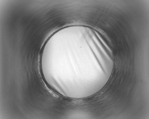 X0000064771006200603031820