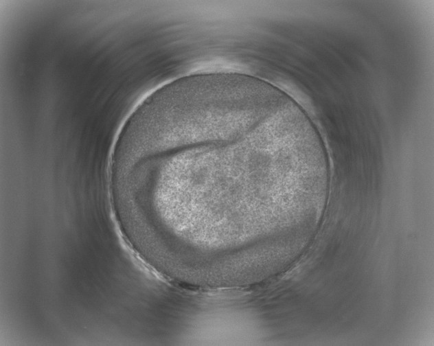 X0000064771008200603031820