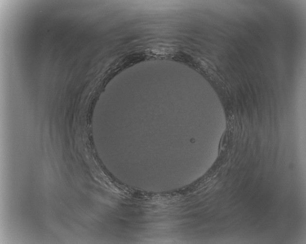 X0000064771009200603031819