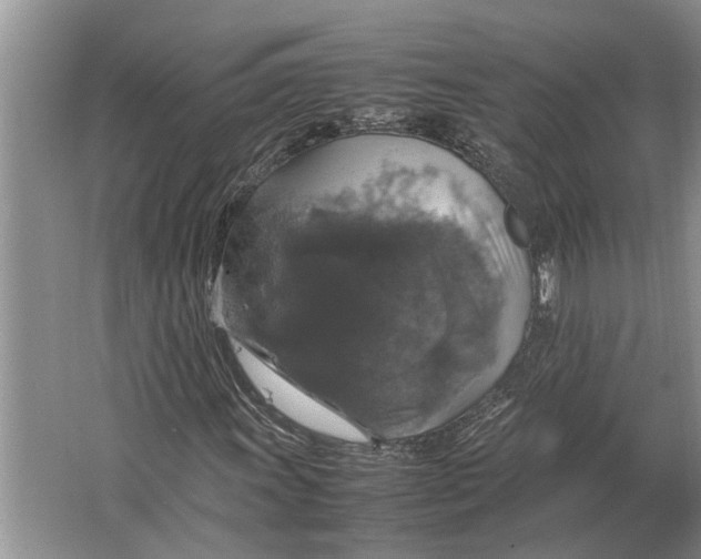 X0000064771011200603031819