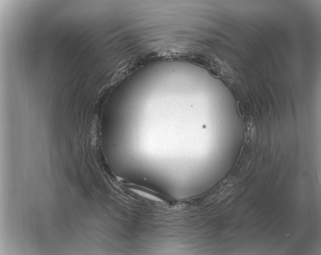 X0000064771012200603031820