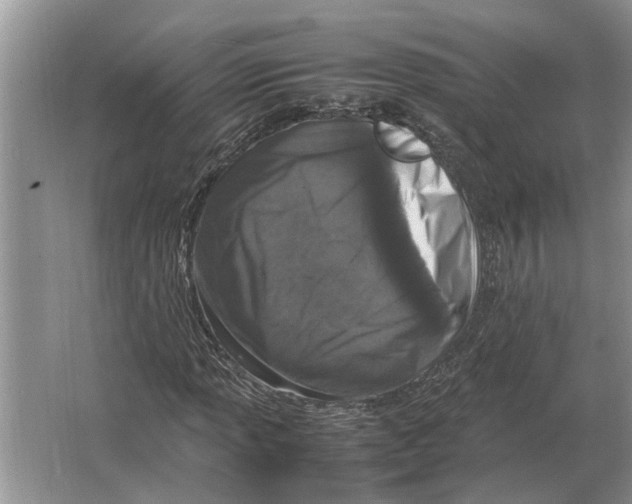 X0000064771013200603031820