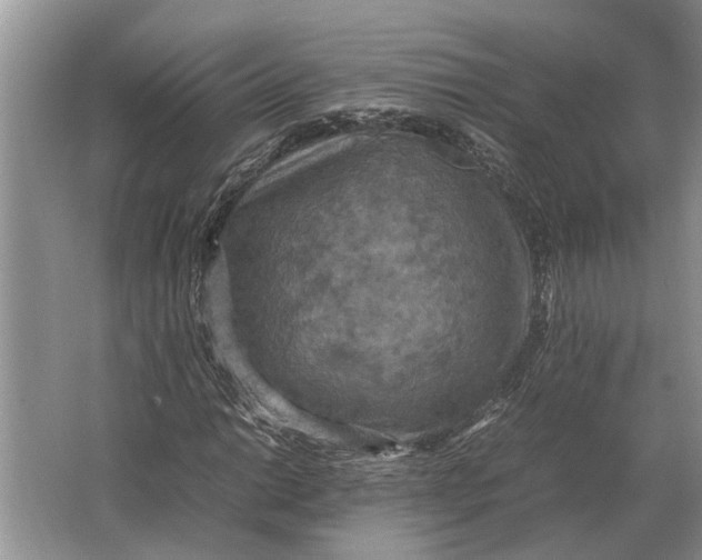 X0000064771014200603031820