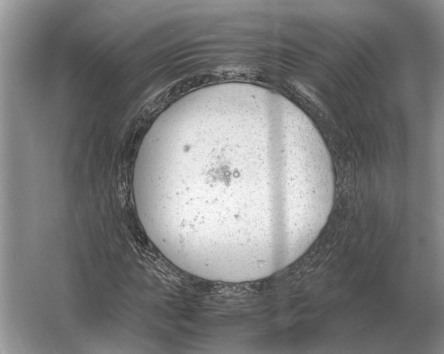 X0000064771015200603031820