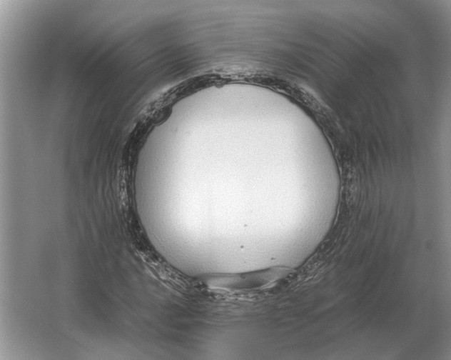 X0000064771016200603031820