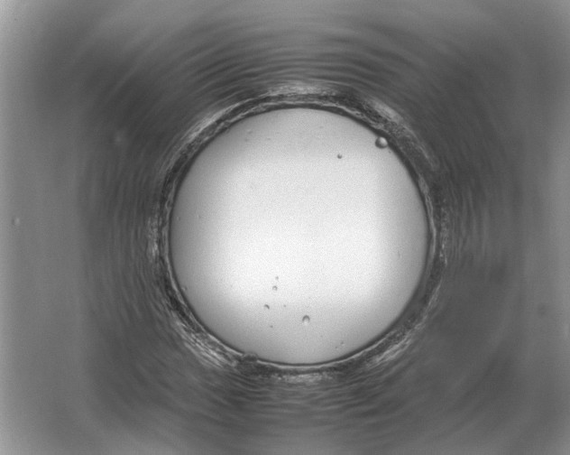 X0000064771017200603031820