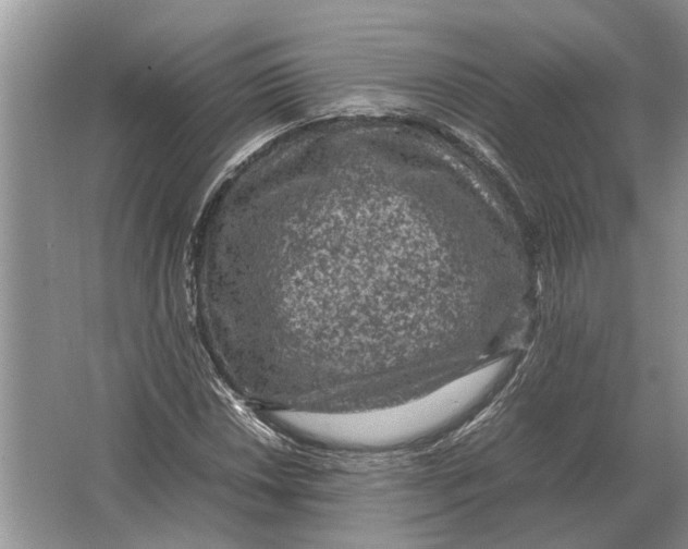 X0000064771018200603031820