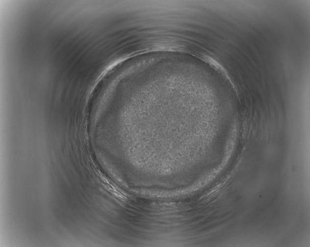 X0000064771019200603031820