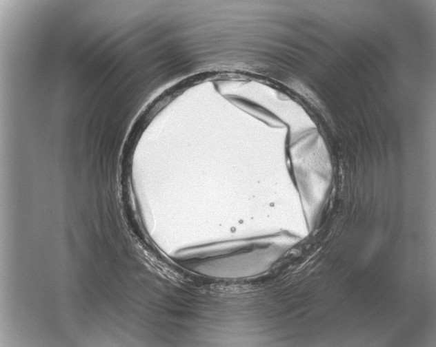 X0000064771020200603031820