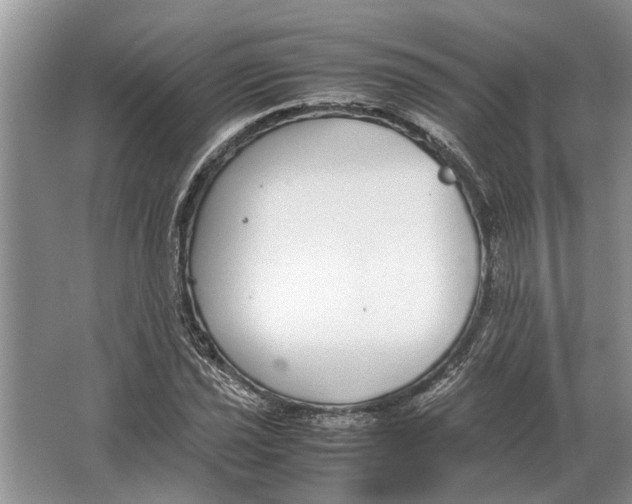 X0000064771021200603031820