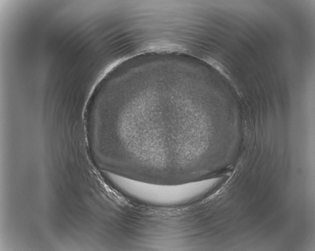 X0000064771022200603031820