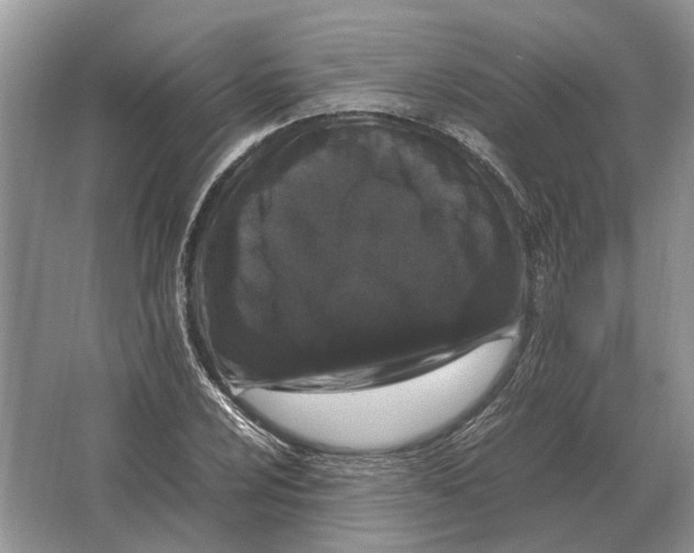 X0000064771024200603031820