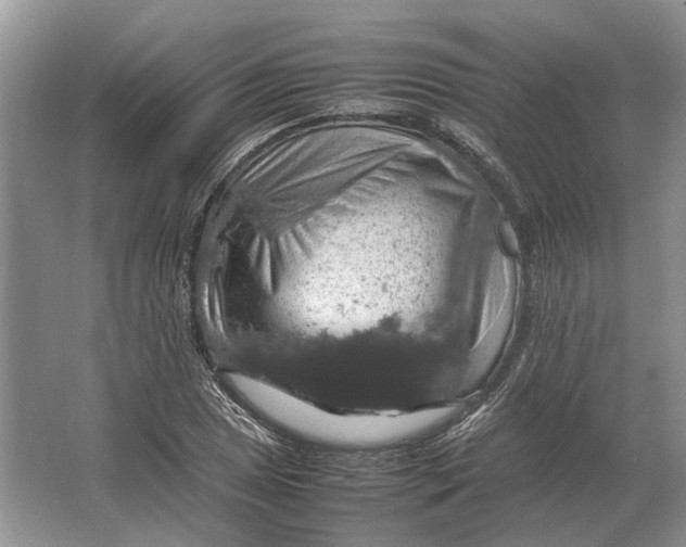 X0000064771025200603031820