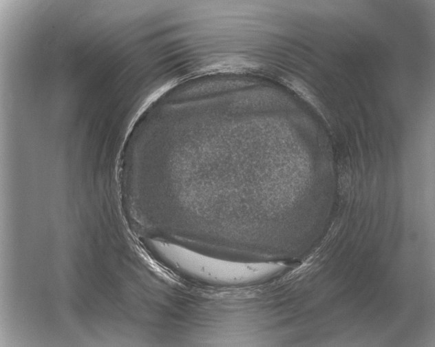 X0000064771026200603031820