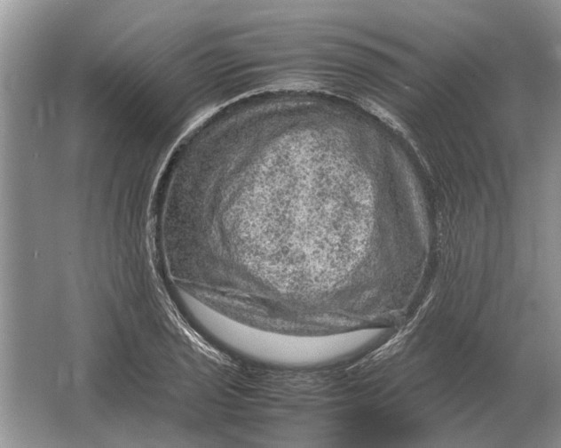 X0000064771029200603031820