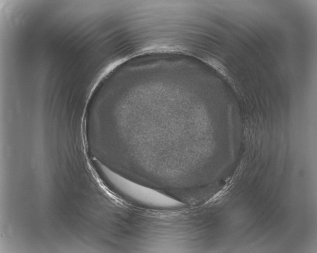 X0000064771030200603031820