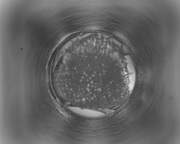 X0000064771031200603031820