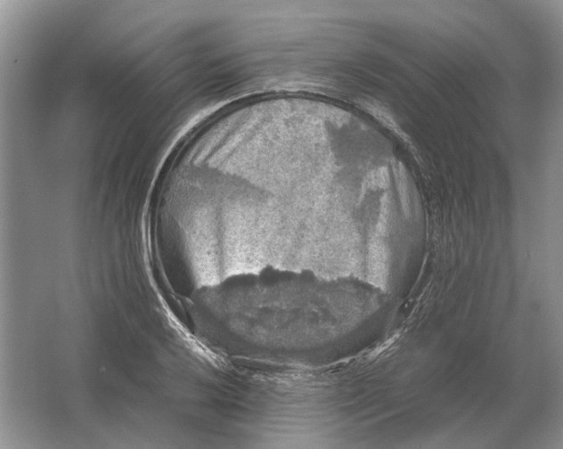 X0000064771032200603031820