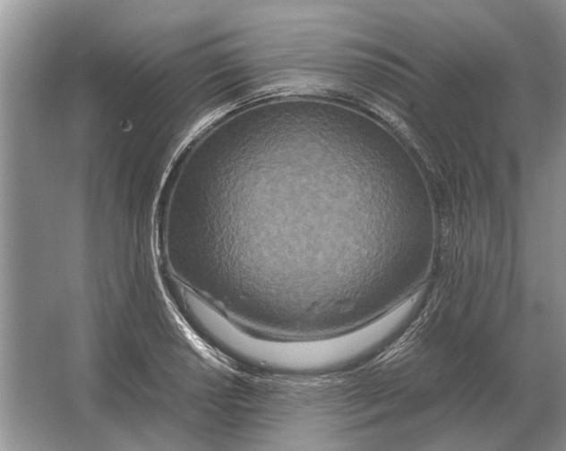 X0000064771034200603031820