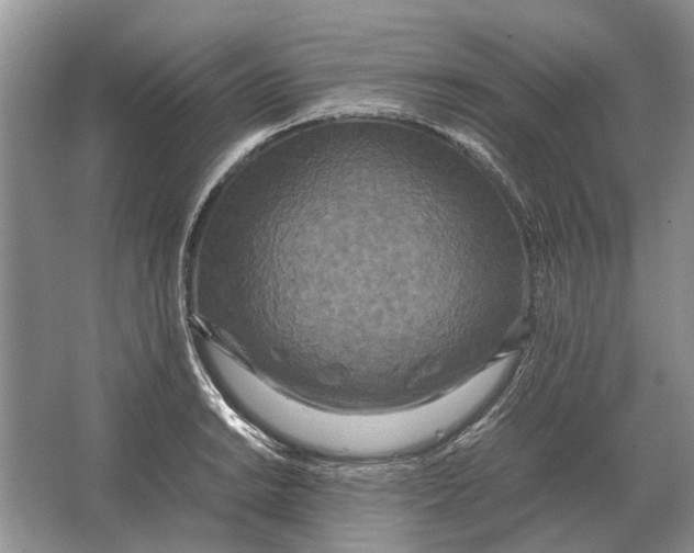 X0000064771038200603031820