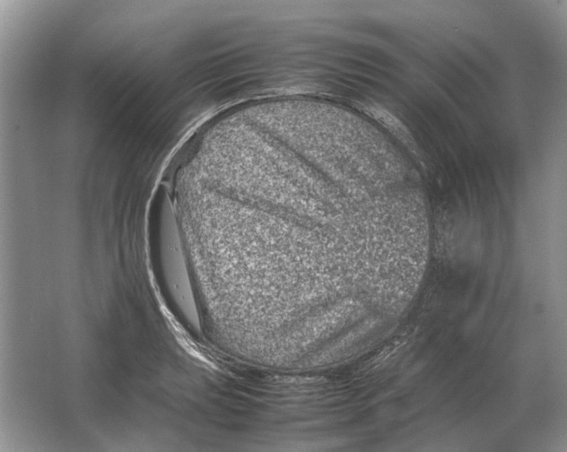 X0000064771039200603031820