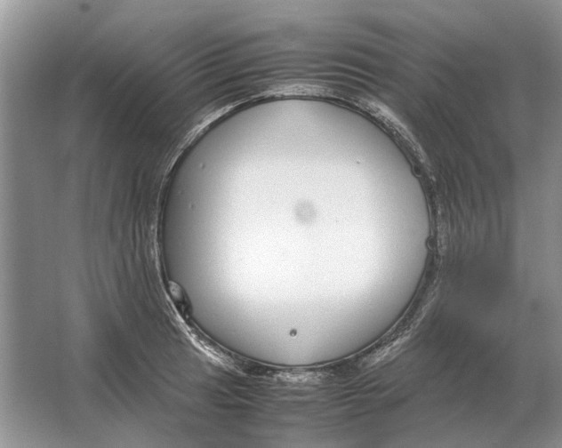 X0000064771041200603031820