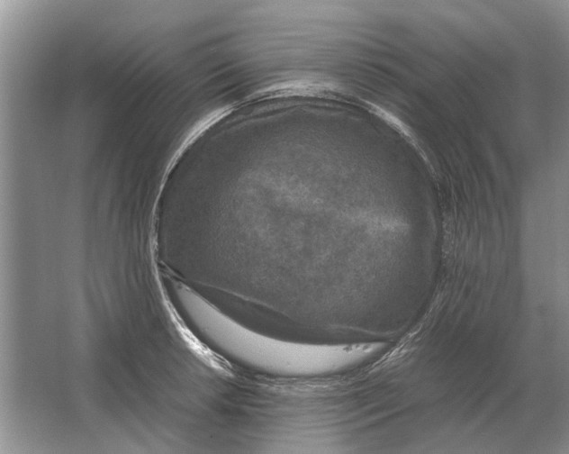 X0000064771042200603031820