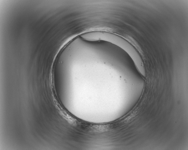 X0000064771044200603031820