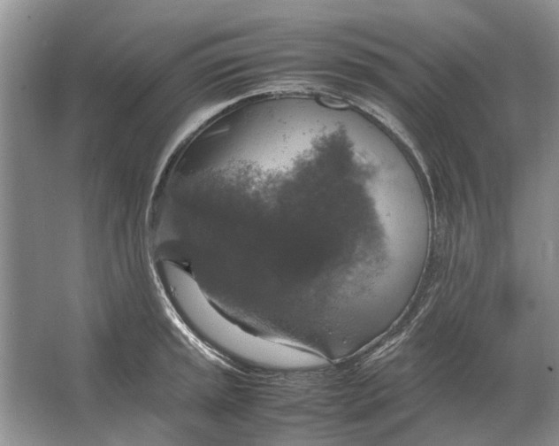 X0000064771045200603031820