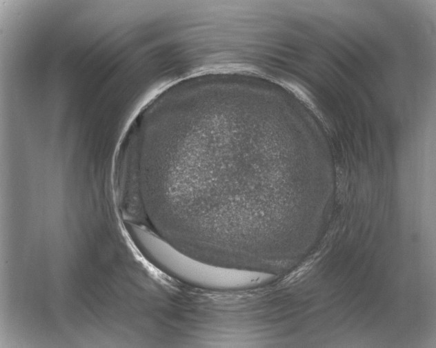 X0000064771046200603031820