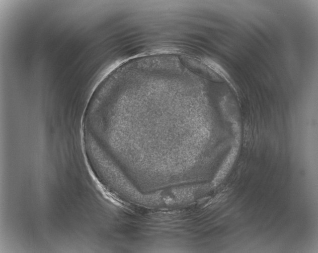 X0000064771047200603031820