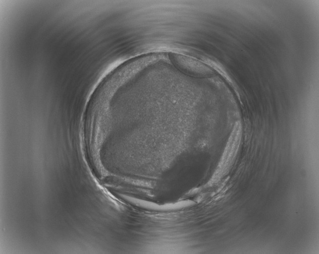 X0000064771048200603031820