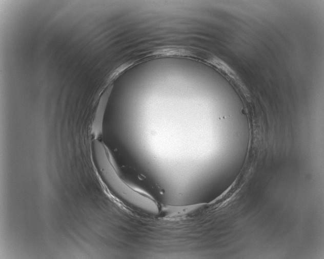 X0000064771049200603031820