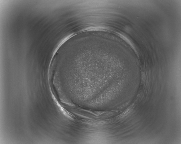 X0000064771050200603031820